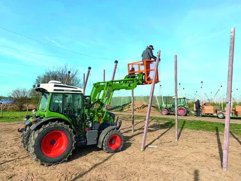 Fendt e100 Vario mit Frontlader und Arbeitskorb beim Aufbau von Pfählen für den Obstbau