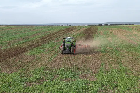 Ein grüner Fendt 1000 Vario fährt mit einem Grubber über einen Acker mit Zwischenfrucht.