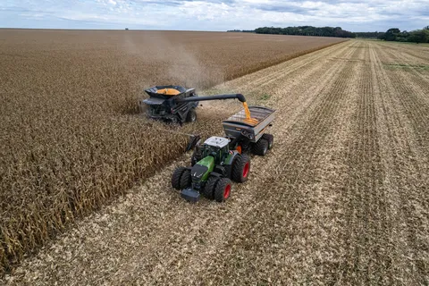 Fendt IDEAL und Fendt Traktor im Mais