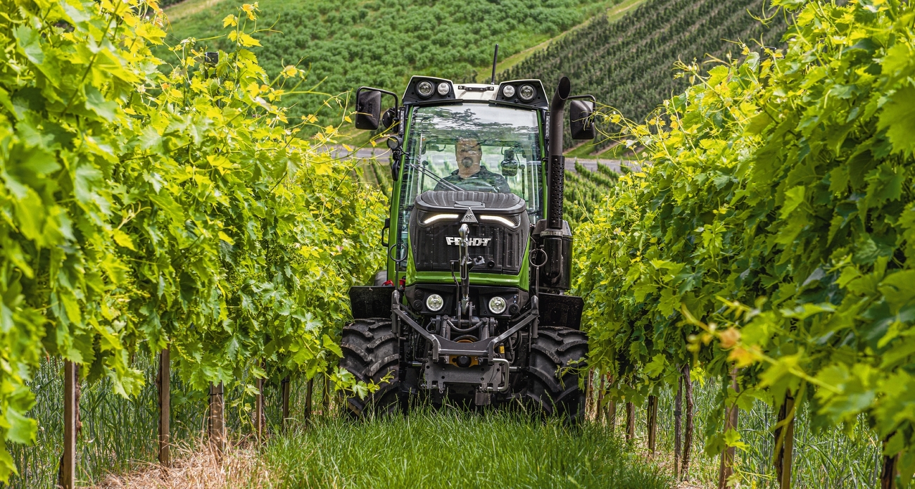 Nahaufnahme Fendt 200 V Vario beim Mulchen im Weinberg zwischen den Weinstreben.