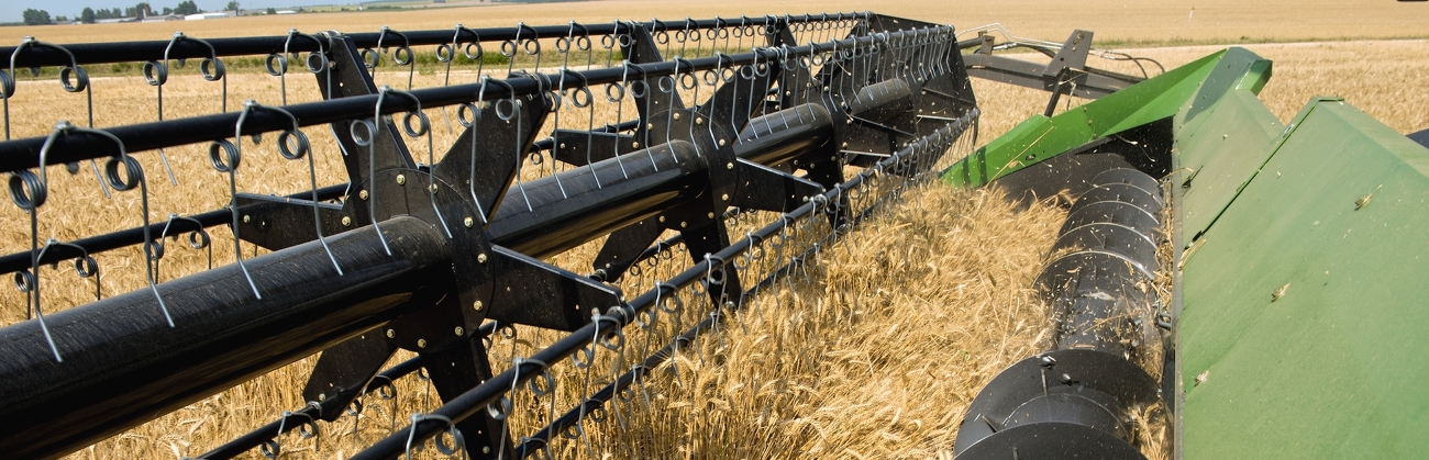 Nahaufnahme Schneidwerk des Fendt L-Serie Mähdrescher während der Ernte auf einem Weizenfeld.