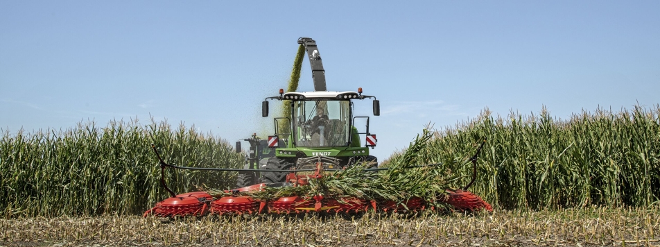 Fendt Feldhäcksler Katana Aus einem Maisfeld kommt der Fendt Feldhäcksler Katana gefahren