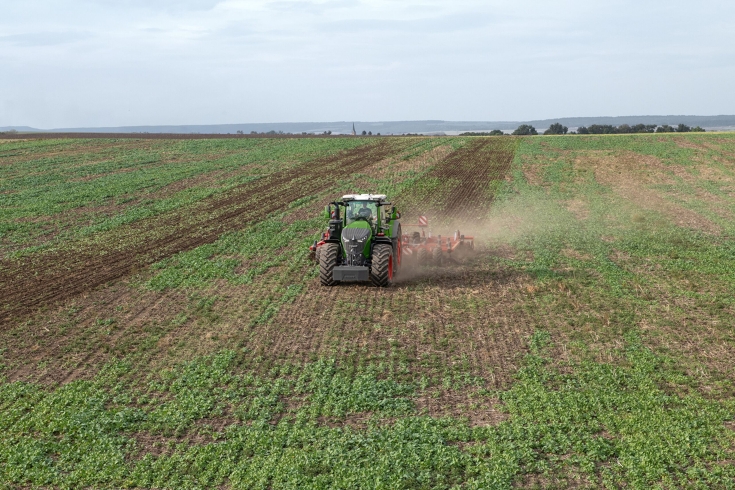 Ein Fendt 1000 Vario mit einem Grubber auf dem Acker Ein grüner Fendt 1000 Vario fährt mit einem Grubber über einen Acker mit Zwischenfrucht.