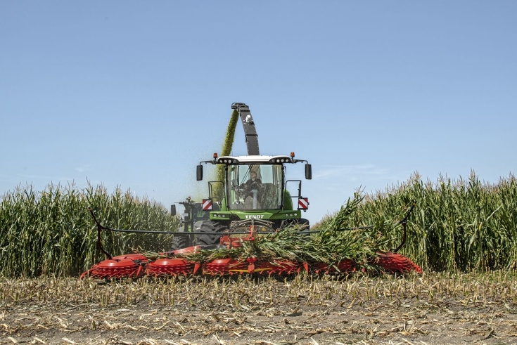 Ein grüner Fendt Katana Feldhäcksler erntet ein Maisfeld ab und fährt frontal auf die Kamera zu.