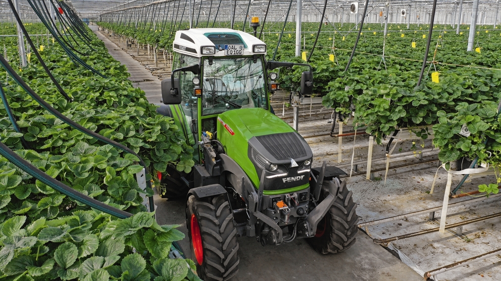 Fendt tractor at work