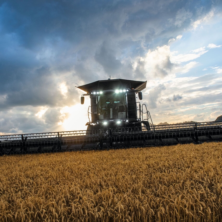 Fendt IDEAL driving in the wheat field
