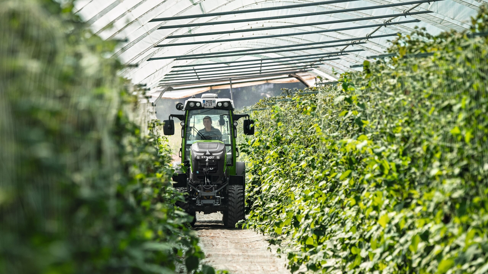 A green Fendt e100 V Vario at work in a greenhouse