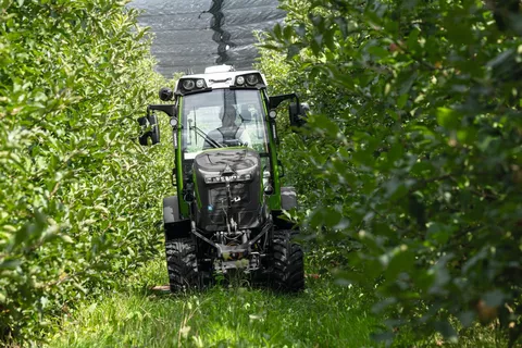 Fendt e107 V Vario in Obstplantage