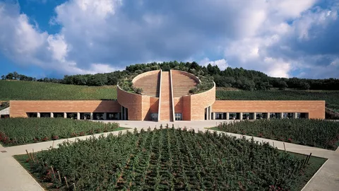Ein italienisches Weingut mit Reihen von Weinreben im Vordergrund, in der Mitte ein futuistisches Gebäude