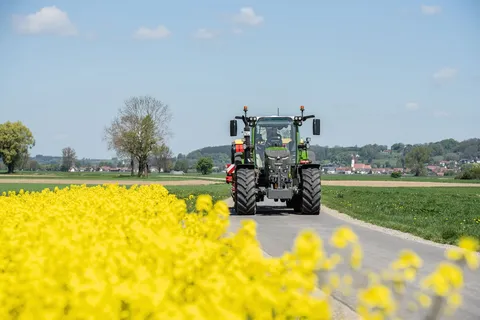 Ein Fendt 500 Vario fährt an einem Rapsfeld vorbei auf der Straße und transportiert ein Anbaugerät im Heck.
