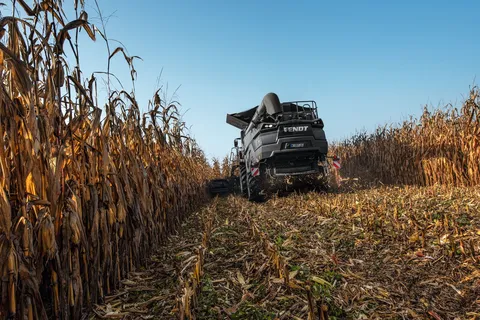 Ein Fendt IDEAL Mähdrescher in Anthrazit fährt durch ein Maisfeld mit einem Maispflücker Vorsatz und wird von hinten fotografiert.