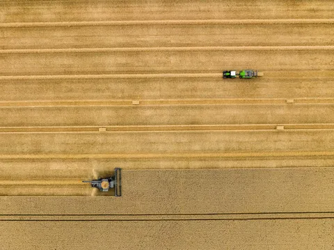 Drohnenaufnahme eines Fendt IDEAL in anthrazit während er drischt und das Stroh in Schwaden ablegt. Gleichzeitig presst ein grüner Fendt Traktor mit einer grünen Quaderballenpresse im Gespann Strohballen aus den Schwaden auf dem gleichen Feld.
