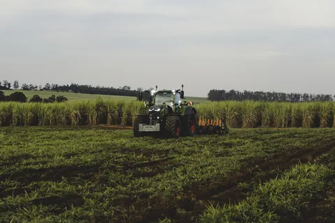 Fendt 728 Vario im Zuckerrohr