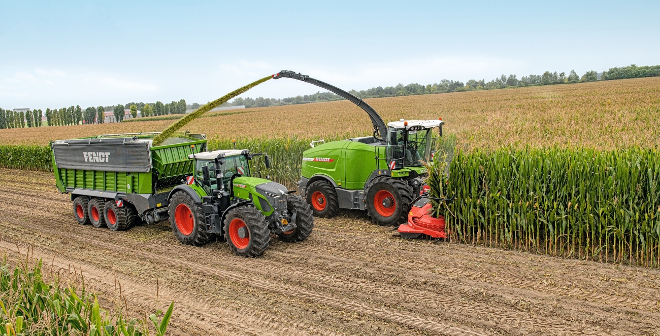 Fendt Katana Feldhäcksler und Fendt 900 Vario Traktor mit Fendt Tigo Ladewagen beim Silomaishäckseln auf einem Feld.