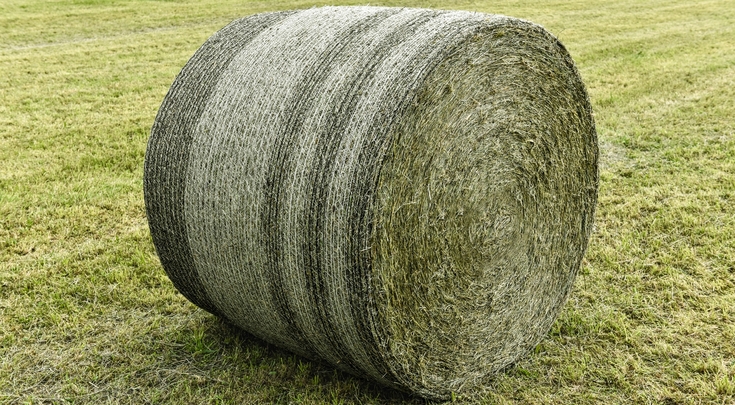 Nahaufnahme Rundballen