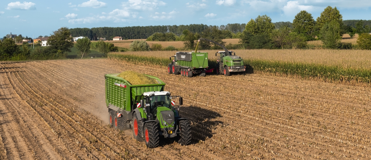 Fendt Maschinen auf einem Feld beim Maishäckseln