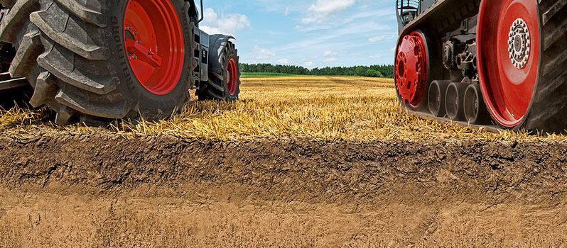 Radier-Magie: Wie Tintenkiller funktionieren und kostenlose Ausmalbilder für kreative Köpfe