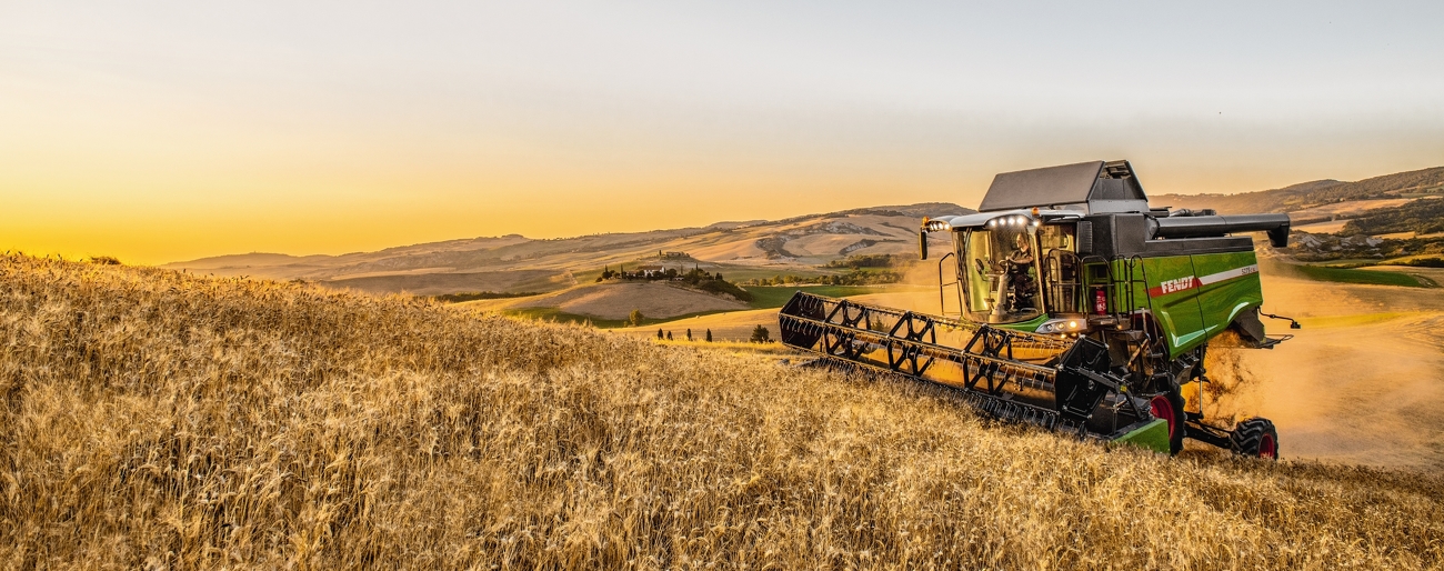 Fendt C-Serie SL beim Einsatz in einem Weizenfeld.