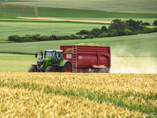 800 Vario mit roten Kipper auf einem Feld.