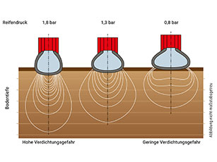 Grafische Darstellung der Verteilung des Bodendruckes