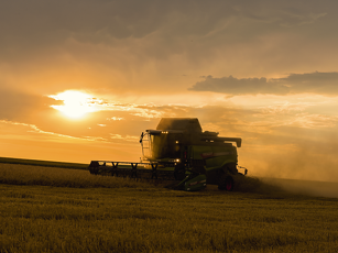 Fendt L-Serie Mähdrescher im Weizenfeld bei Sonnenuntergang