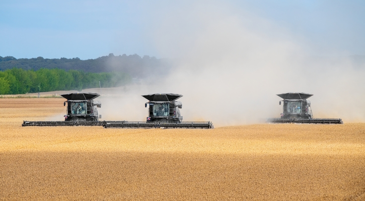 Fendt Ideal Drei Fendt Ideal Mädrescher nebeneinander beim Drusch eines Weizenfeldes