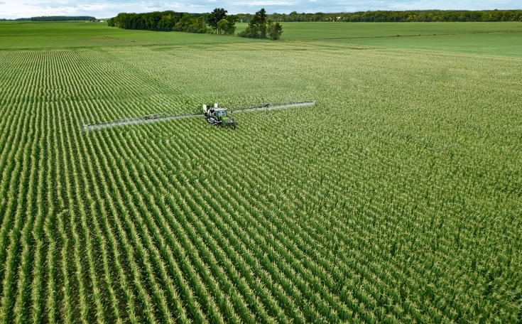 Fendt Rogator 900 beim spritzen von einem Maisfeld