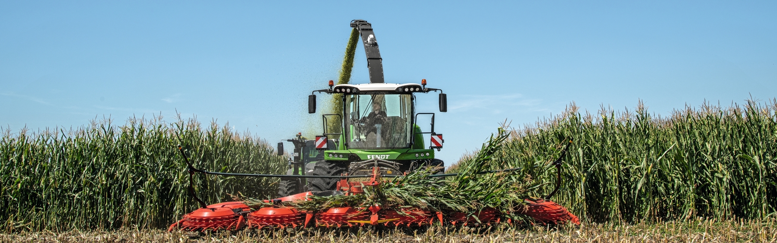 Fendt Katana im Einsatz auf dem Maisfeld