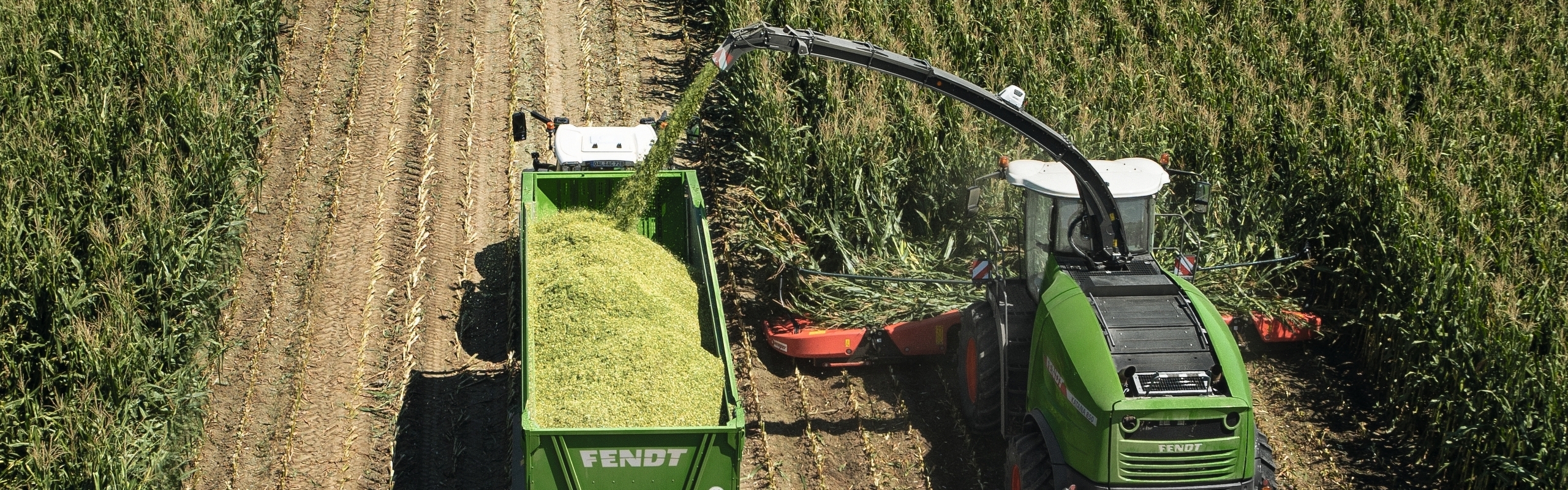 Vogelperspektivenansicht des Fendt Katanas und Fendt Tigos bei der Maisernte