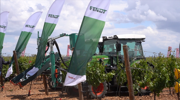 2 Fendt 210 P Vario Traktoren im Einsatz im Weinberg mit einem Laubhefter und einem Grubber, Fendt Fahnen am Ende der Zeilen