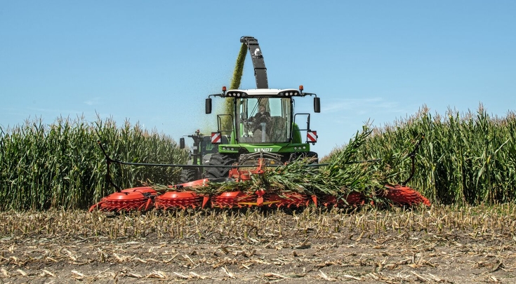 Ein Landwirt häckselt mit einem Fendt Katana Futtermais bei strahlend blauem Himmel.