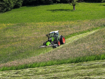 Auf einer grünen Wiese im Alpinraum sieht man entfernt einen Fendt 200 Vario fahren, der die Grünfutterernte einbringt.