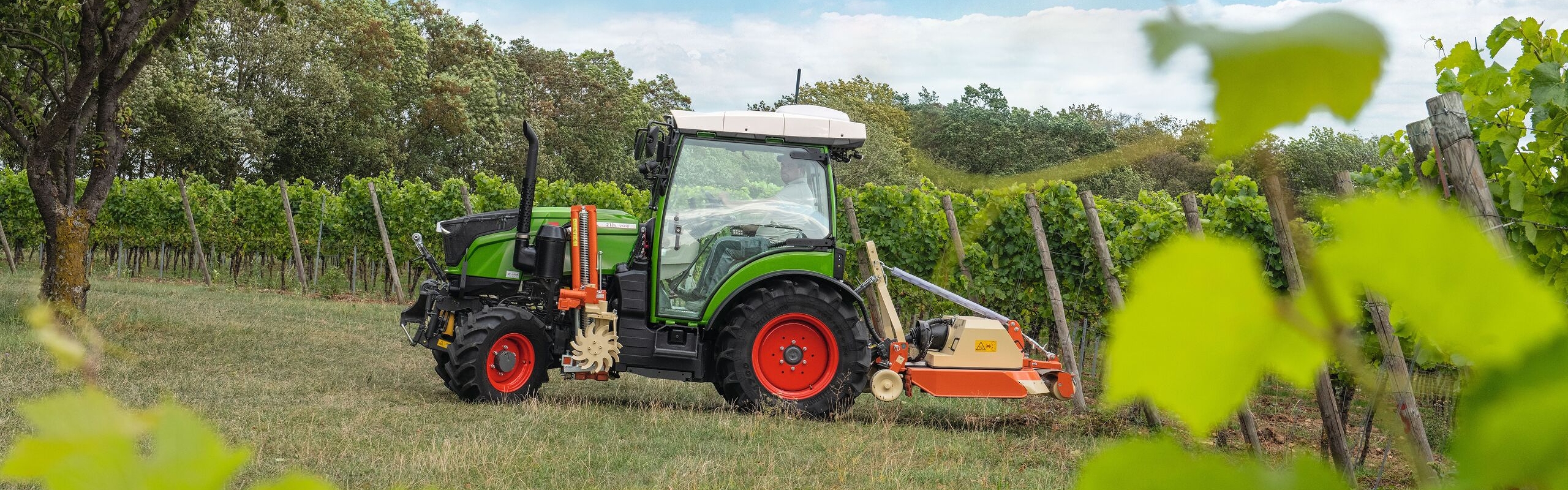 Der grüne Fendt 200 V/F/P Vario mit den roten Felgen fährt mit einem Mulcher. Unterhalb des Traktors befinden sich Weinberge.