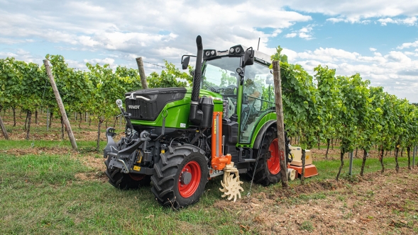Der grüne Fendt 200 V/F/P Vario mit den roten Felgen fährt mit einem Mulcher durch die Reihen des Weinberges.