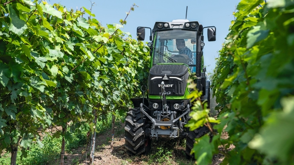 Der grüne Fendt 200 V/F/P Vario fährt zwischen den grünen Reben durch den Weinberg.