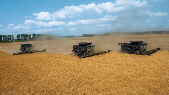 Drei Fendt IDEAL im Einsatz im Weizenfeld. Im Hintergrund sind Bäume und der blaue, leicht bewölke Himmel zu sehen.