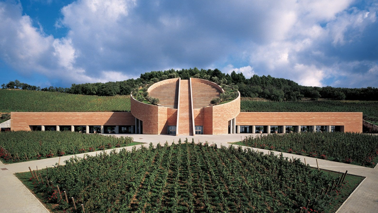 Ein italienisches Weingut mit Reihen von Weinreben im Vordergrund, in der Mitte ein futuistisches Gebäude