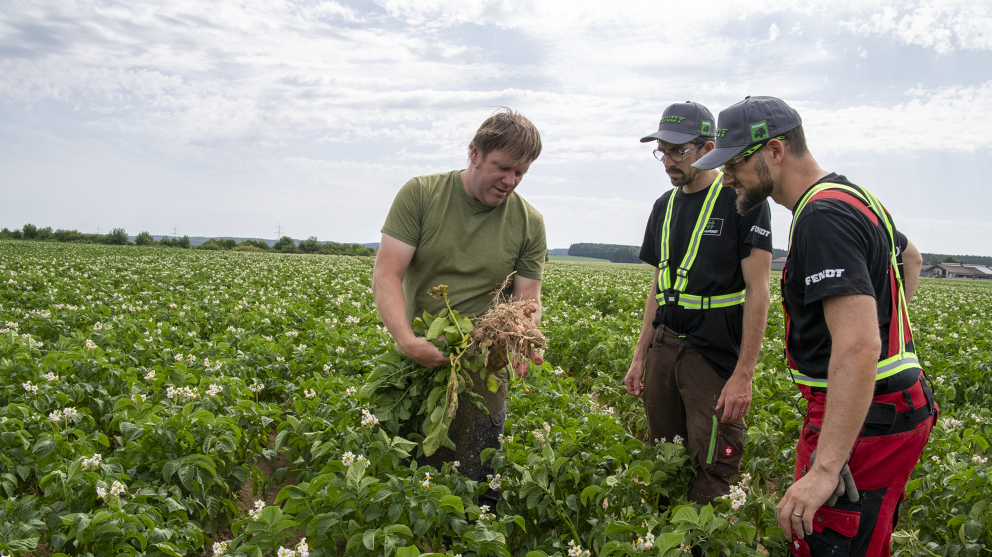 Fendt Mitarbeiter und Landwirt bei der Kartoffelernte 3 Männer stehen auf einem Feld. Einer hält eine Kartoffelpflanze in der Hand und erklärt den anderen beiden etwas, während sie die Pflanze anschauen und ihm zuhören.