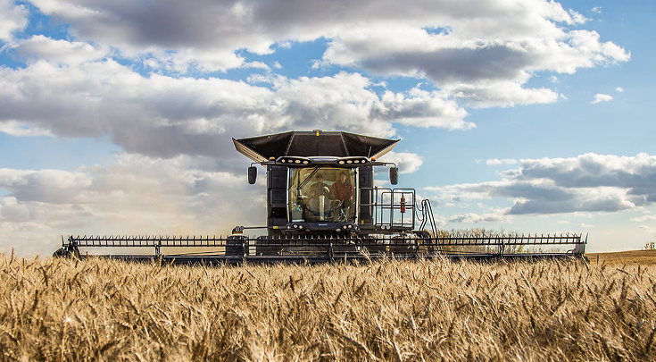 Der schwarze Fendt IDEAL Mähdrescher von vorne, im Einsatz auf einem goldgelben Weizenfeld. Über dem Feld erstreckt sich ein klarer blauer Himmel mit weißen Wolken – ein kraftvolles Bild moderner Landwirtschaft.