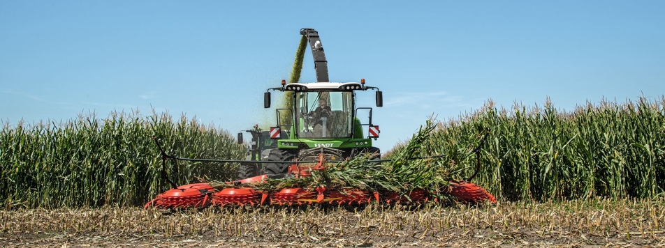Ein Landwirt fährt mit einem Fendt Katana auf einem Maisfeld und häckselt Mais