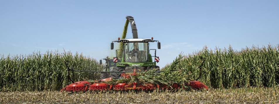 Aus einem Maisfeld kommt der Fendt Feldhäcksler Katana gefahren