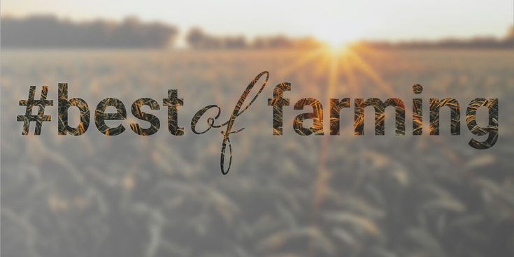 best of farming