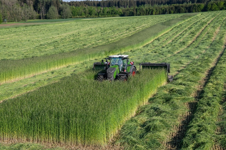 Ein Fendt 800 Vario mäht mit einem Mähwerk mit Förderband Ein grüner Fendt 800 Vario mäht einen sehr hohen Bestand mit einer Mähwerkskombination mit Förderband