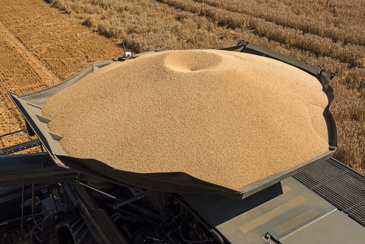 Getreidebunker des Fendt IDEAL Mähdreschers Detailaufnahme eines vollen Getreidebunkers von einem Fendt IDEAL mit sehr hoher Kornqualität.