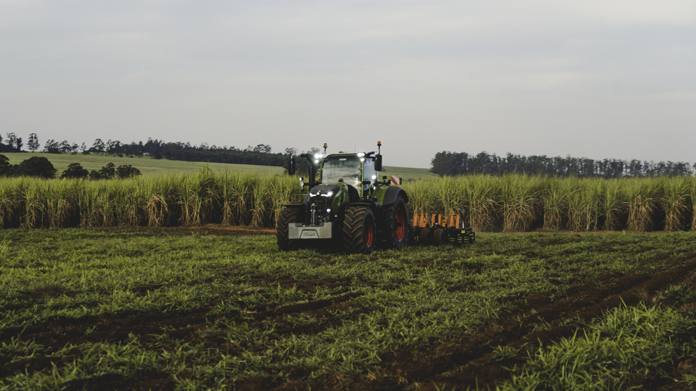 Fendt 728 Vario im Zuckerrohr