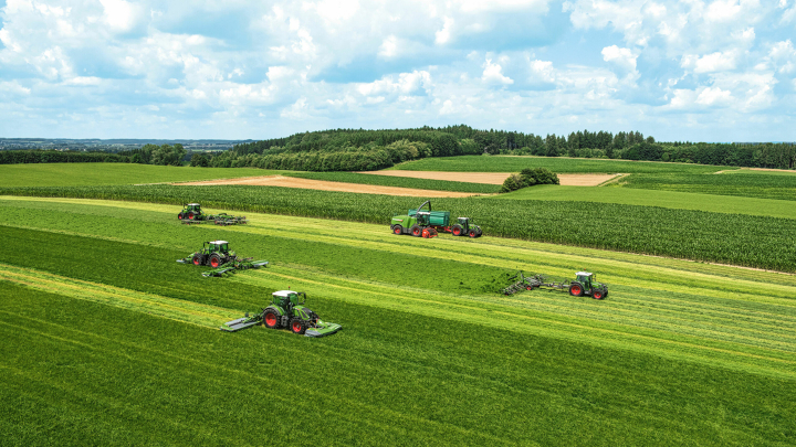 6 Fendt traktorer og en Fendt Katana finsnitter kører forskudt i en græsmark og slår, vender, river og finsnitter.