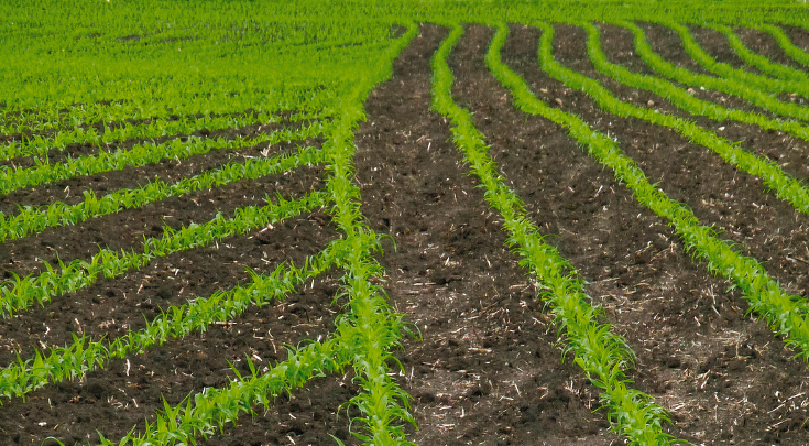 SectionControl-sektsioonide lülitusega haritud põld teravilja jaoks koos põlluotstes ümberpööramisega.