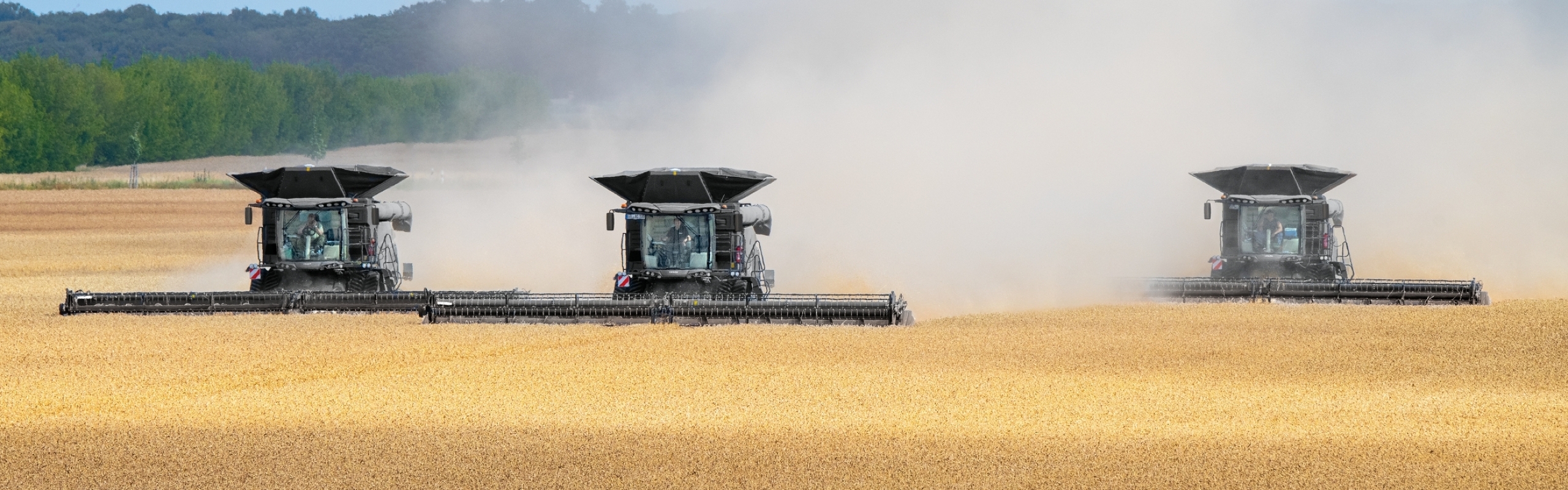 3 modelos Fendt IDEAL circulando uno al lado del otro en el campo de trigo