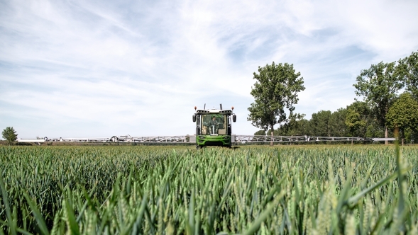 Fendt Rogator 600 en un campo de cereales a principios de verano