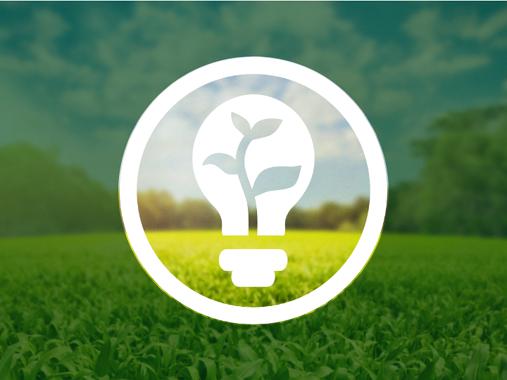 Dentro de un círculo hay una bombilla blanca en la que crece una planta. El fondo muestra una pradera forestal verde bajo un cielo azul, oscurecido fuera del círculo por una capa verde oscura, parcialmente transparente.